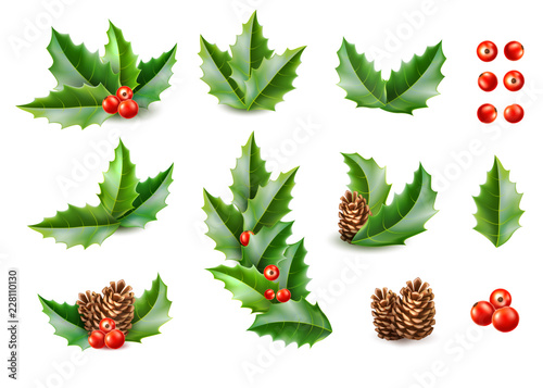 Vector realistic merry christmas holly leaves fir