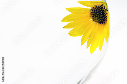 Fototapeta Naklejka Na Ścianę i Meble -  Yellow flower under water in a round vase