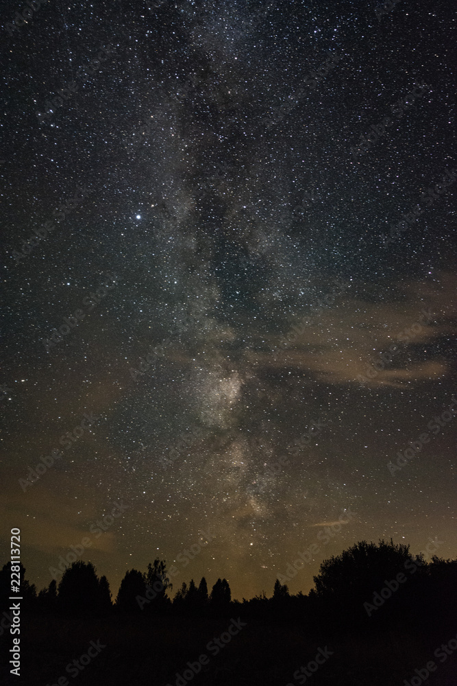 Milky way over the forest