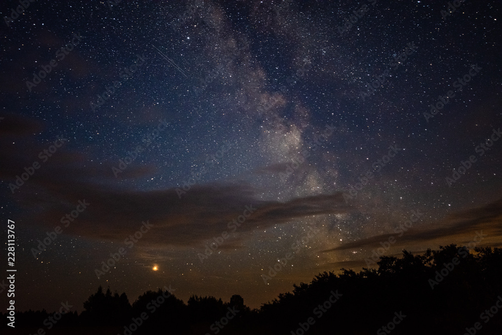 Milky way over the forest
