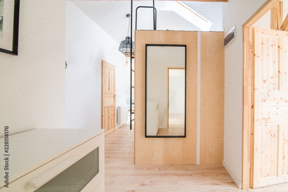 Apartment hall with mirror