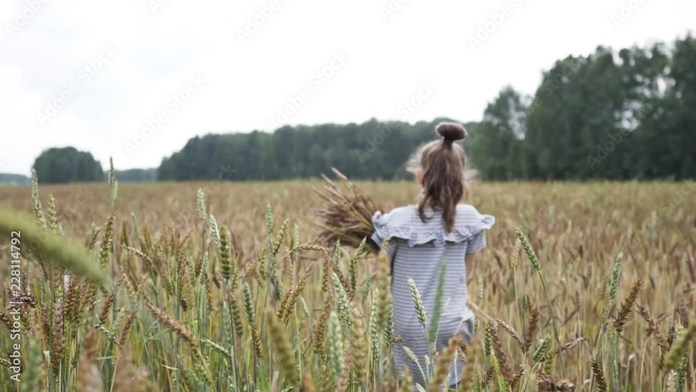 Little girl in the wheat field. Slow motion. Little girl in the wheat field. Slow motion.