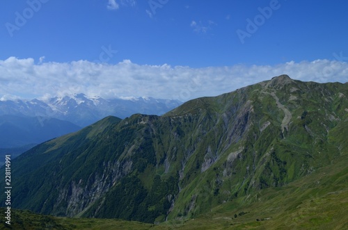 grass on the mountain