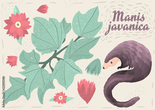 Digital illustration of  Manis javanica . This illustration is designed to decorate t-shirts  interiors of children s rooms and much more. This character is perfect for lovers of lizards and tropical 