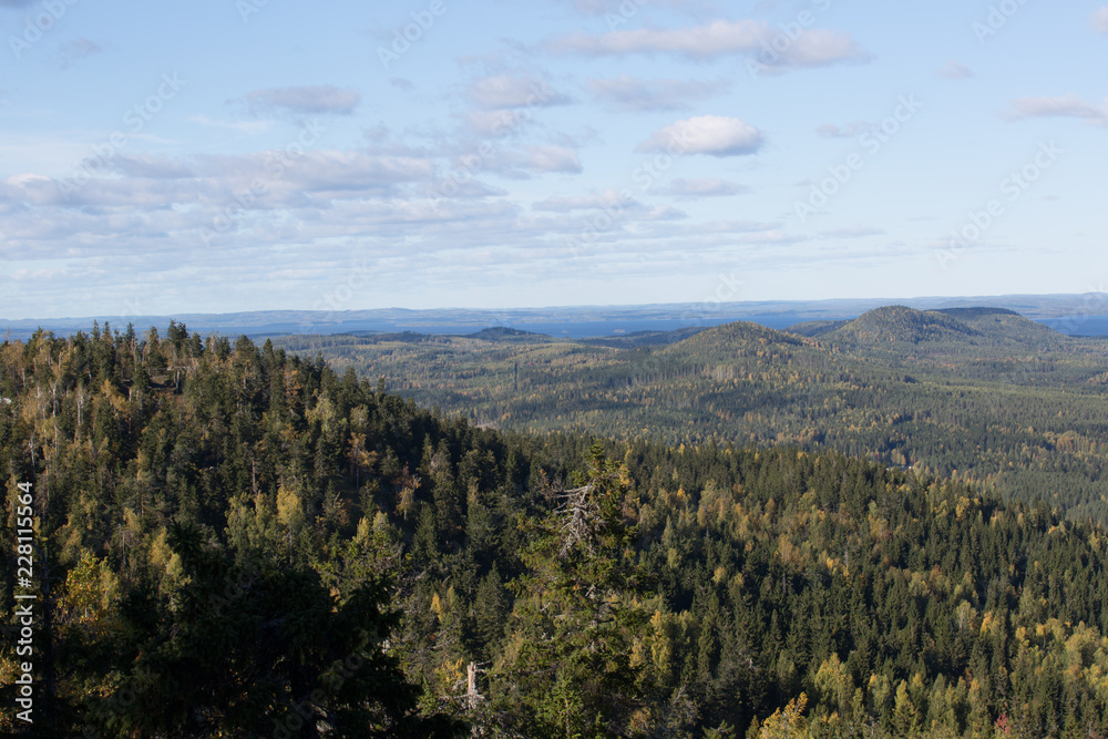 Autumn forest landscape north of the koli mountain