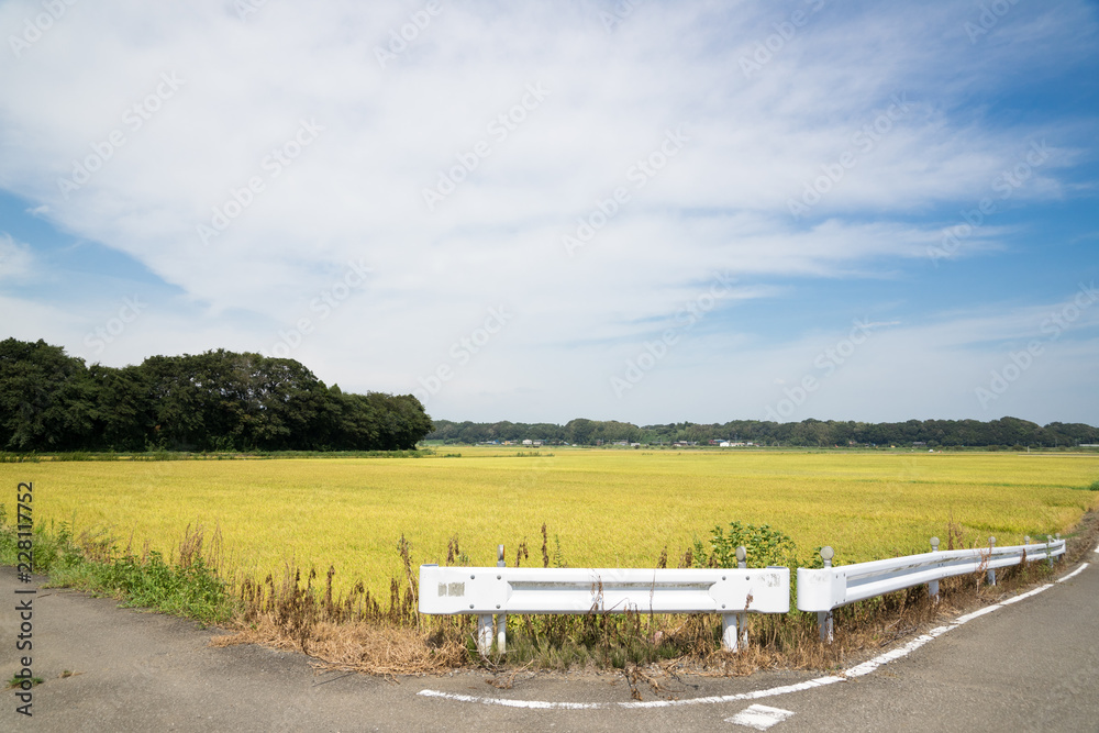 Obraz premium 田園風景