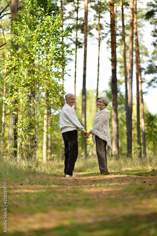 Portrait of old couple have a walk in autumn forest