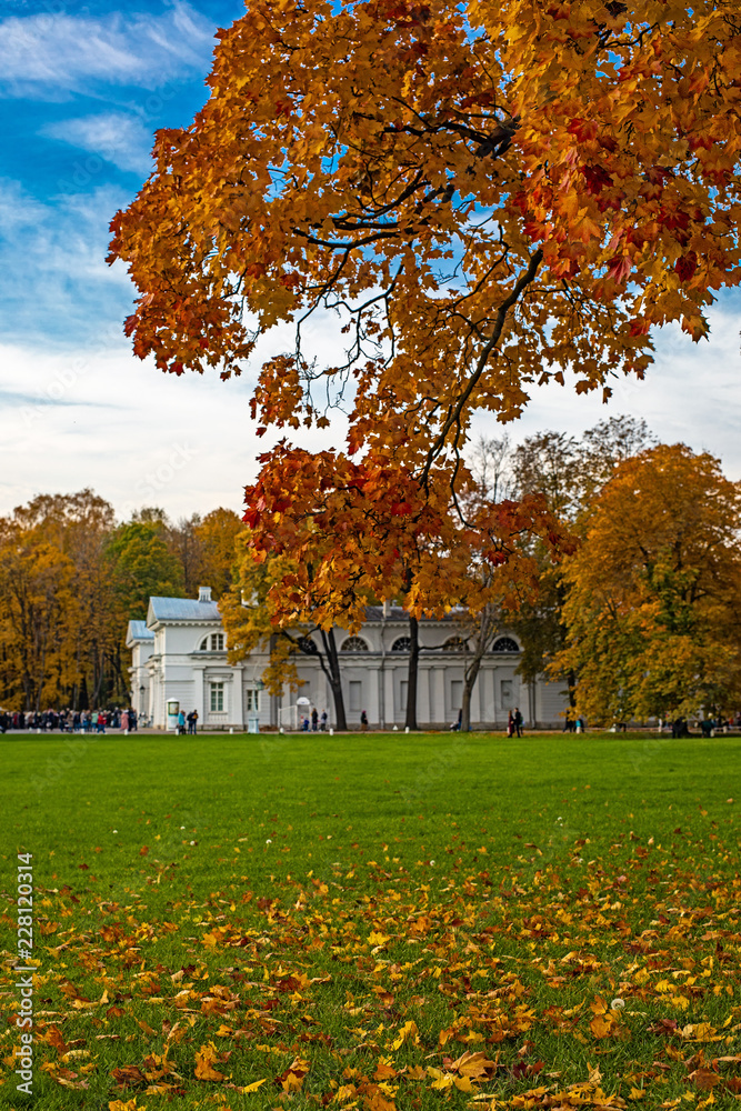Obraz premium Autumn in the park.