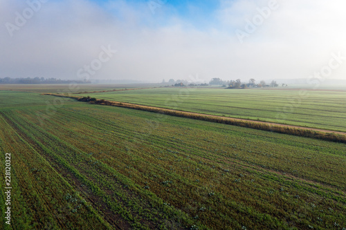 Autumn morning fog on green fields.