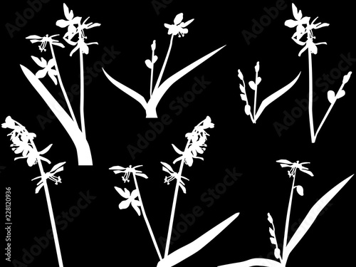 garden bluebell silhouettes on black background