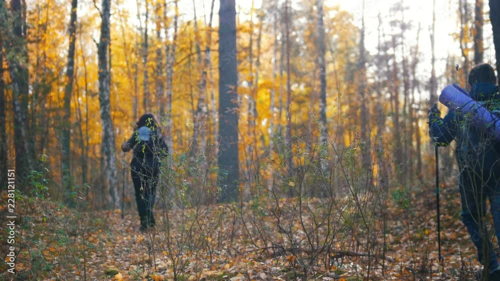 Young woman and a boy on hiking. Scandinavian walk.Autumn. View from the back