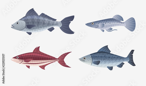 Fish characters. Cartoon vector illustration