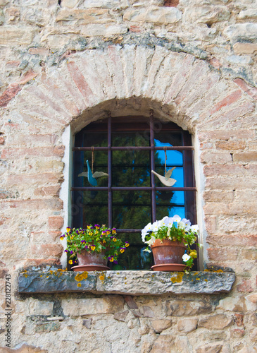 A window with colored violets on the window sill