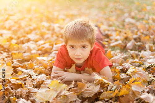 young boy lying in yellow fall leaves
