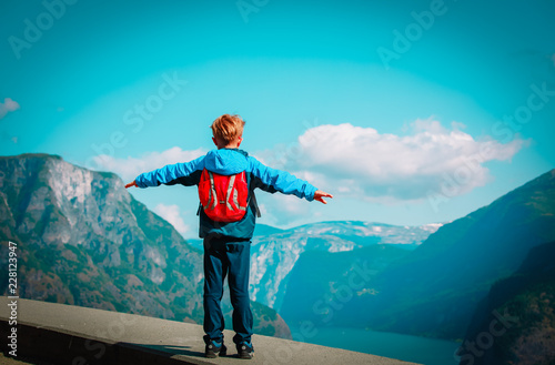 happy little boy enjoy travel in mountains, hiking in nature