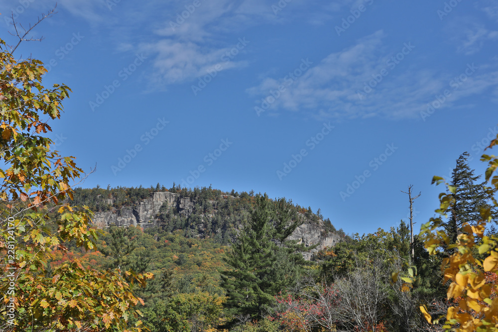 Beautiful Fall colors and fauna of the White Mountain National Forest in New Hampshire, USA