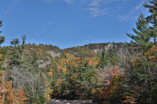 Fototapeta Naklejka Na Ścianę i Meble -  Beautiful Fall colors and fauna of the White Mountain National Forest in New Hampshire, USA