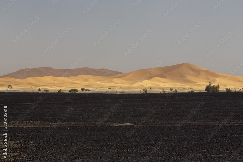 erg chebbi travelling dune, merzouga, morocco, erg chebbi travelling dune, merzouga, morocco,