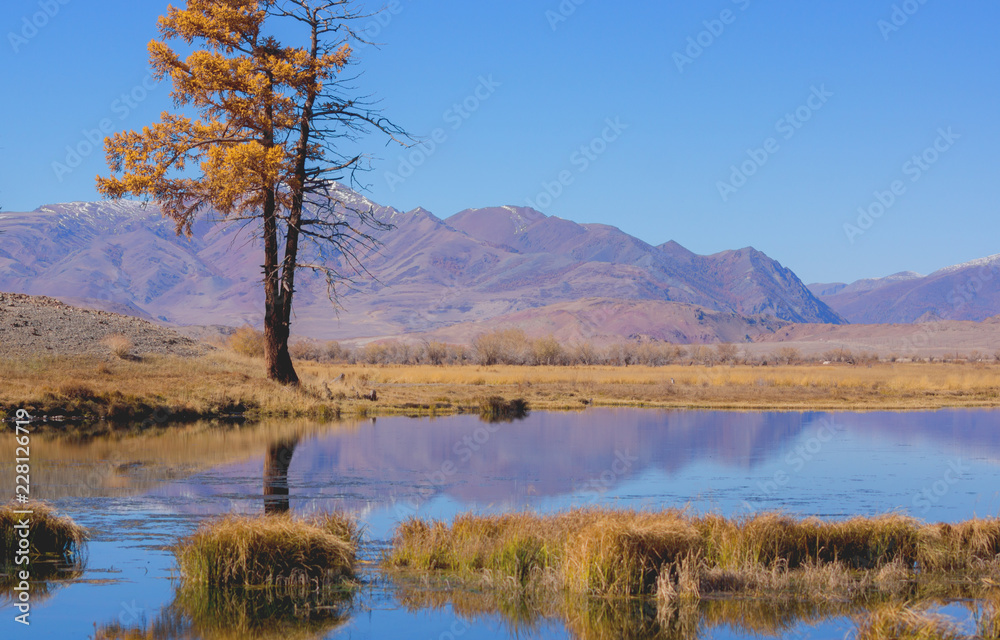 Fototapeta premium Алтай 2018