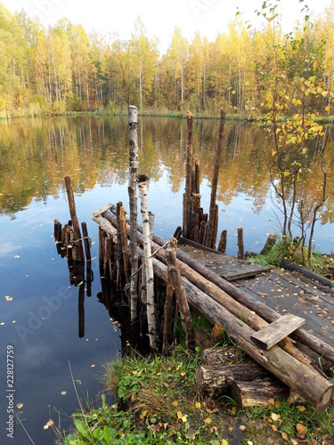 Лесное озеро осенью