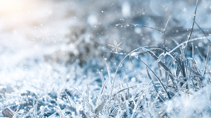 Winter background and winter morning. Frozen grass under the snow, snowflakes and sunlight, rays.