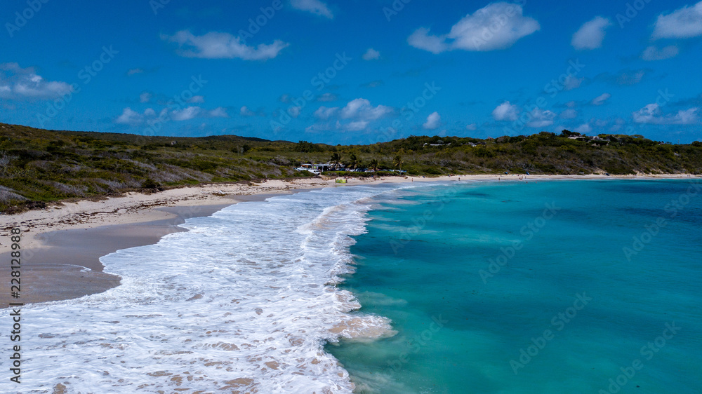 Fototapeta premium beach in Caribbean 