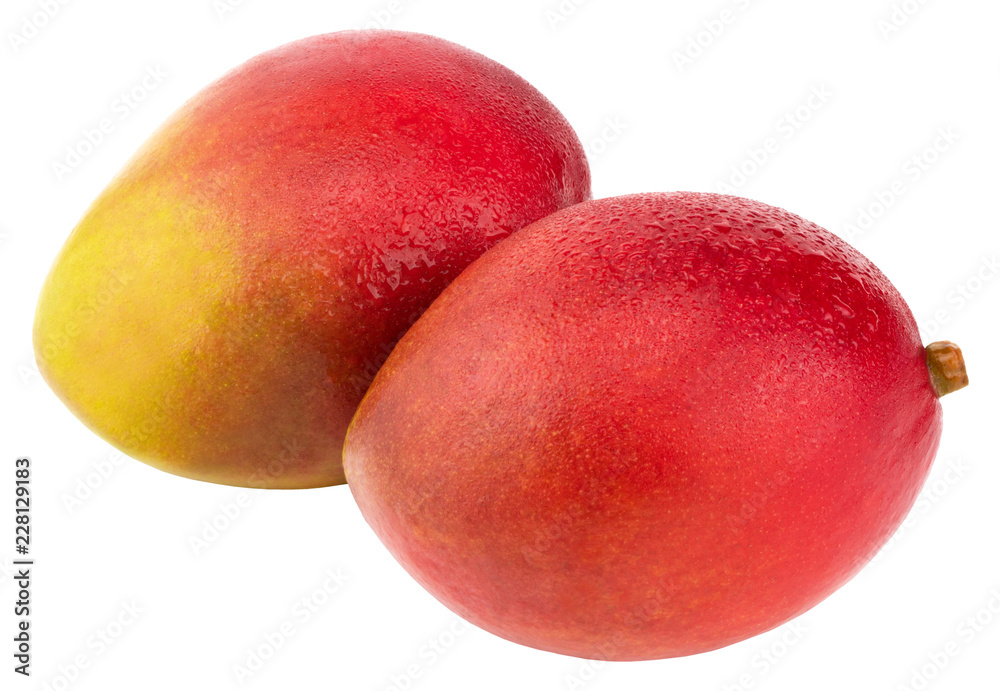 Mango fruit with water drops. Isolated on a white background Mango fruit with water drops. Isolated on a white background