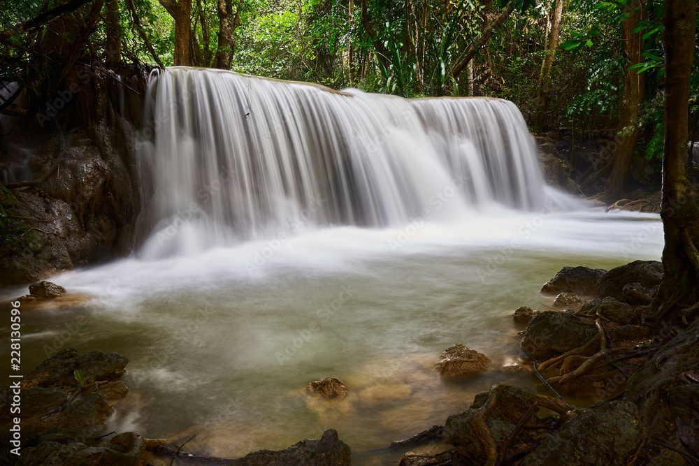 Fototapeta premium waterfall in deep forest with root of tree