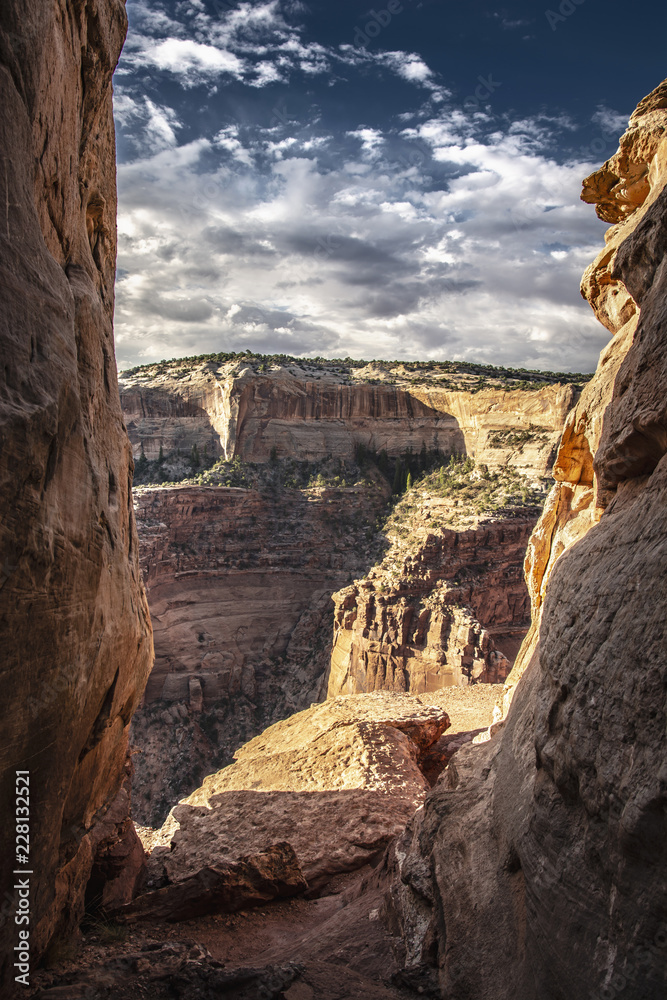 Fototapeta premium Canyonlands - Moab - Utah - USA
