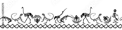 Halloween animals - black skeletons of reptiles (crocodiles, lizards, frogs), monkeys and birds (ostriches and herons) on white background. Narrow seamless pattern.