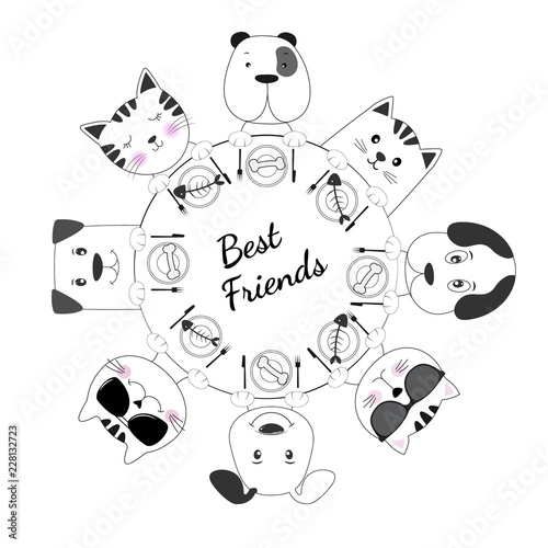 Face cats and dogs best friends have lunch together white background.
