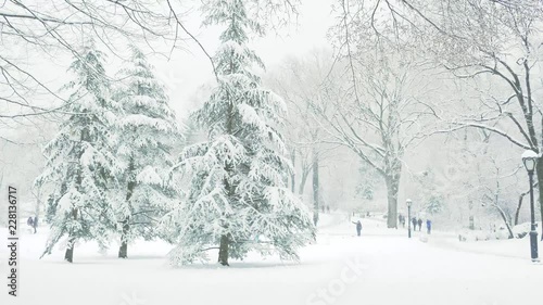 Wallpaper Mural Snowing in Central Park New York City in Winter Torontodigital.ca