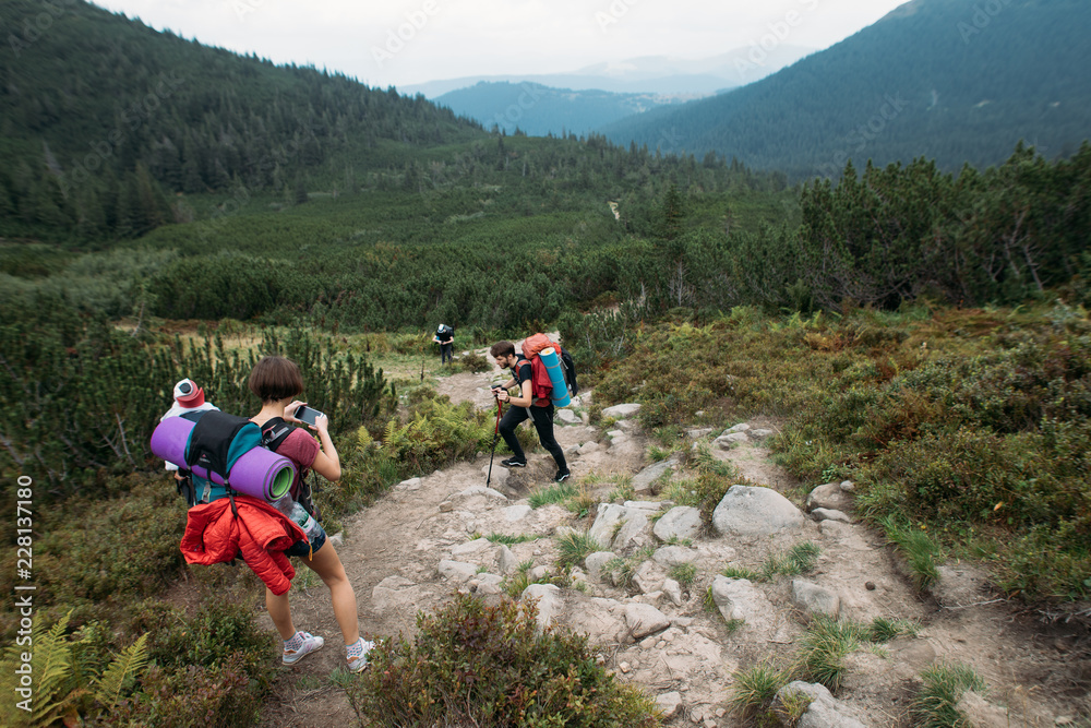 Fototapeta premium a group of people go to a hike in the mountains