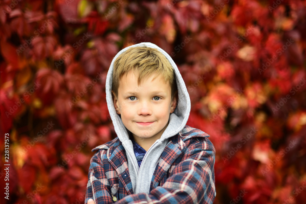 Autumn is time for back to school. Little schoolboy. Little child enjoy autumn season. Adorable child on autumn landscape. Hello autumn