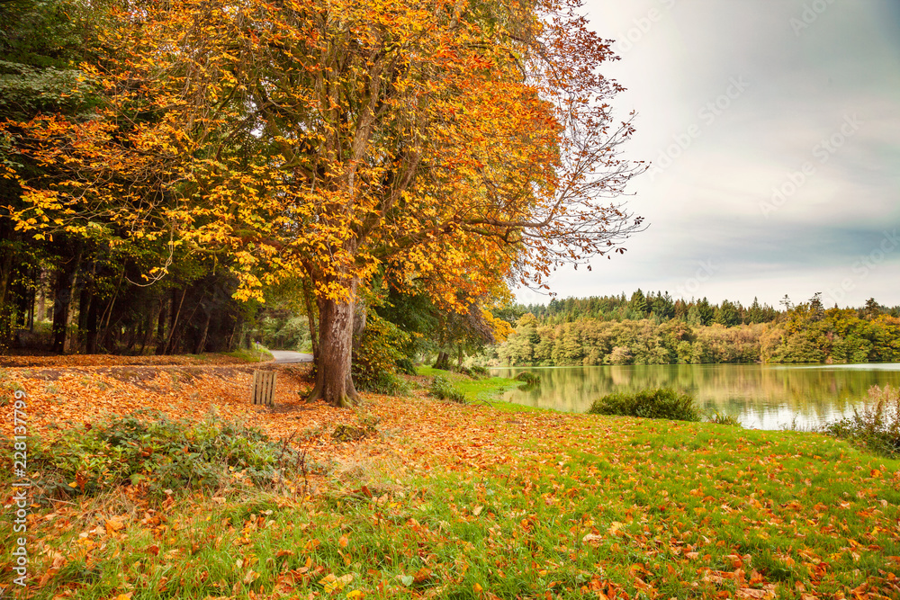 Autumn at Shearwater lake, Wiltshire Autumn at Shearwater lake, Wiltshire