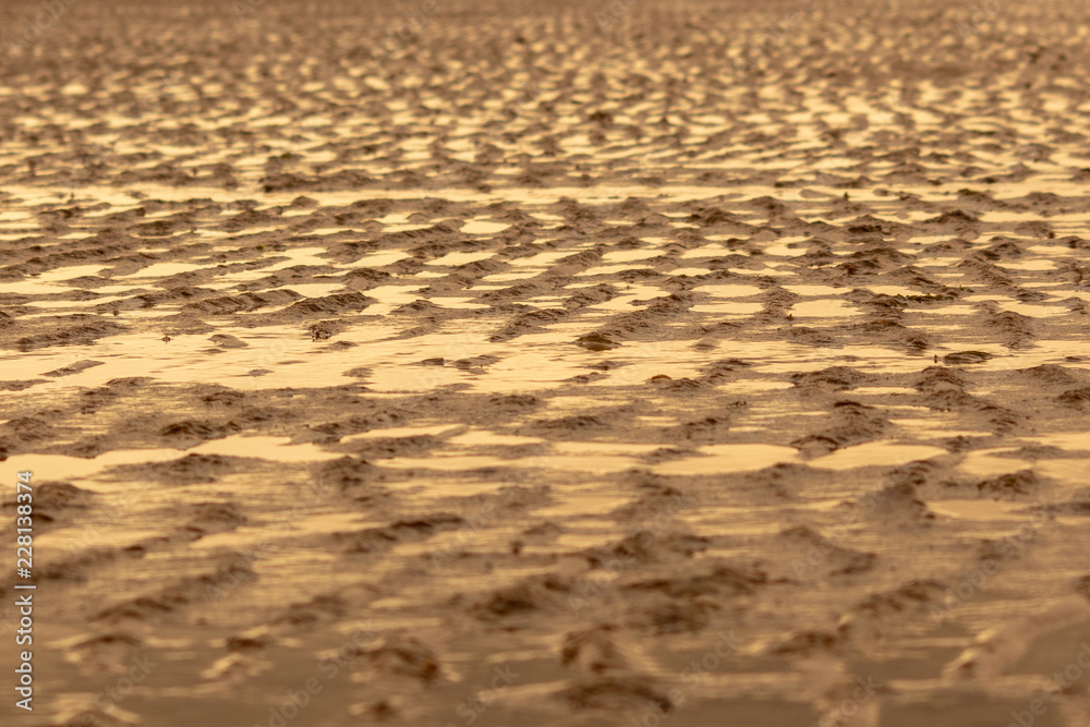 Golden Sand Ripples on a Beach