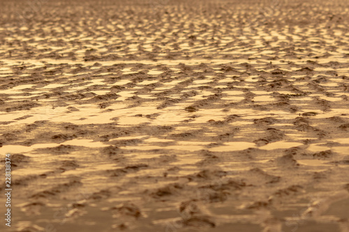 Golden Sand Ripples on a Beach