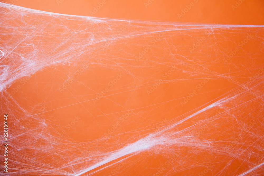 Halloween creepy cobweb spiders web with an orange background Halloween creepy cobweb spiders web with an orange background