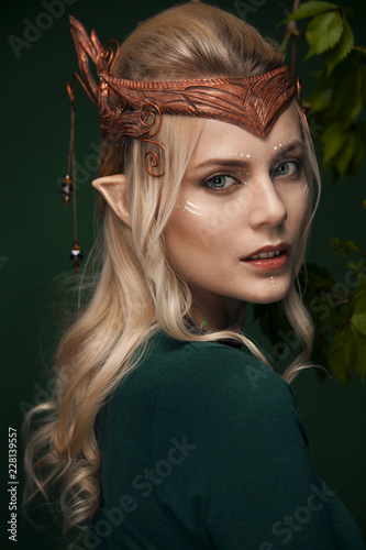 Stylish picture of a beautiful young girl elf photo