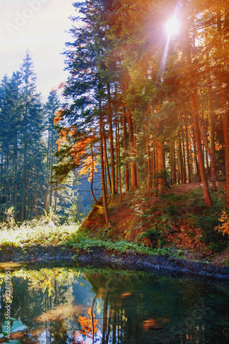 Fototapeta Naklejka Na Ścianę i Meble -  Fantastic forest with mountain river in the sunlight. Sun beams through tree. Dramatic colorful scenery.