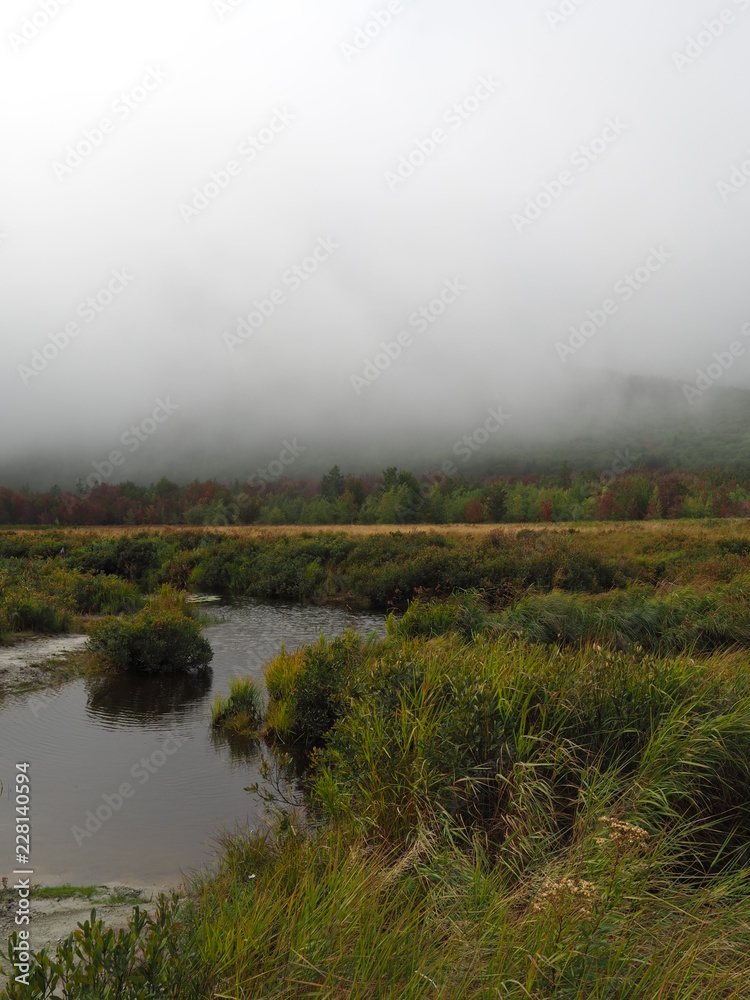 Acadia National Park im Nebel
