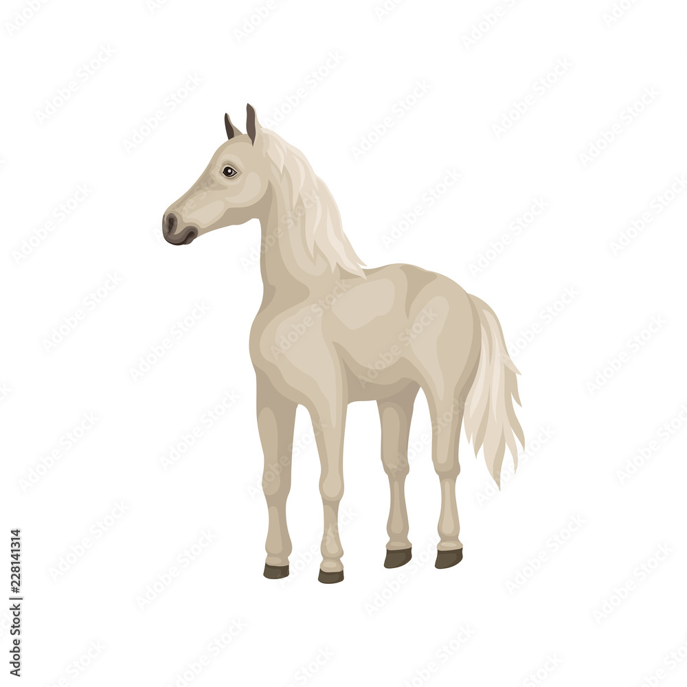White horse with shiny eyes, flowing mane and long tail. Beautiful animal with hooves. Flat vector design