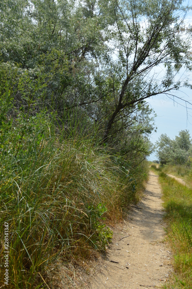 Obraz premium Ukraine.Arabatskaya arrow. Chokrak