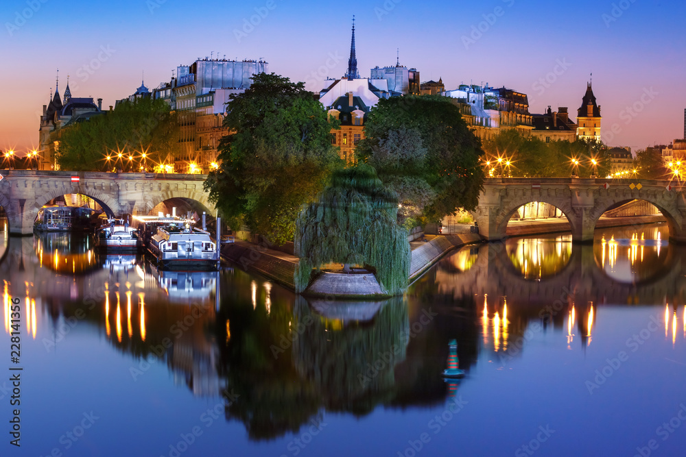 Beautiful view of Ile de la Cite and Pont Neuf at sunrise in Paris, France, as seen from Pont des Arts