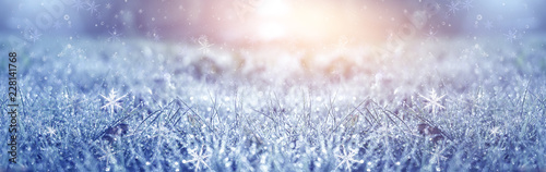 Winter background and winter morning. Frozen grass under the snow, snowflakes and sunlight, rays. © MiaStendal