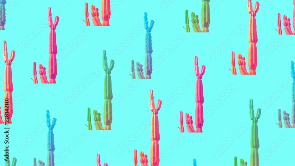 Minimal motion fashion design. Cactus background
