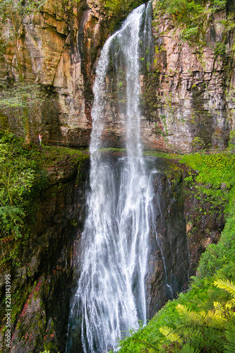 under big jungle waterfall Giant. tropical landscape of Abkhazia. Vertical