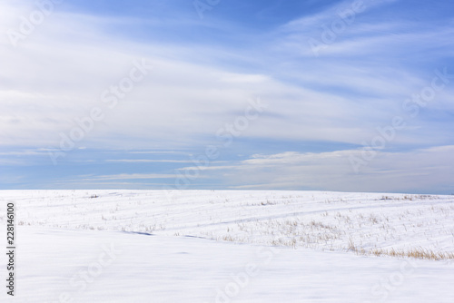 Snow Covered Winter Field Background