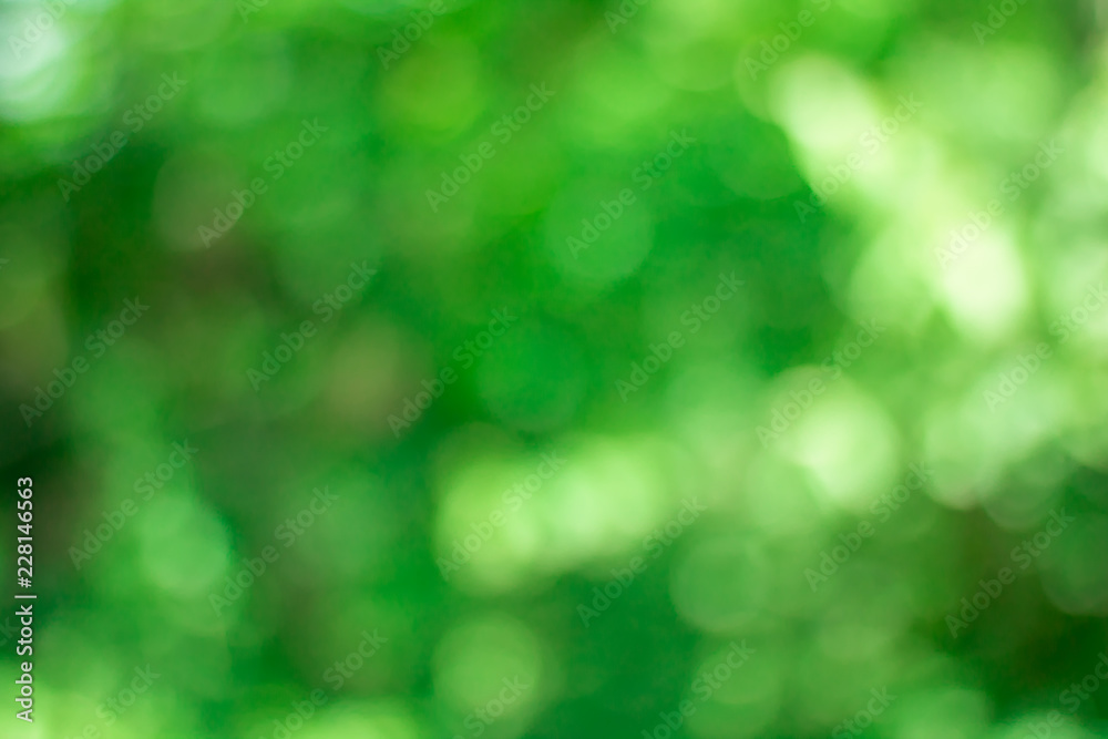 Obraz premium Tree Leaves bokeh for nature background and save green concept,abstract,soft and blur focus