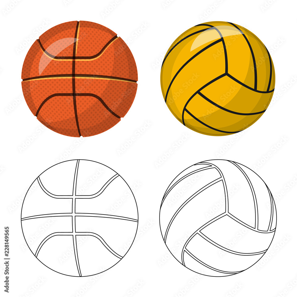 Vector illustration of sport and ball sign. Collection of sport and athletic stock vector illustration.